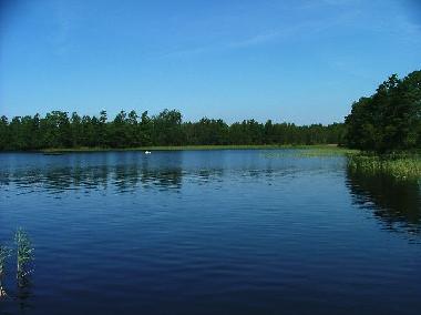Ferienhaus in Urshult (Smaland) oder Ferienwohnung oder Ferienhaus