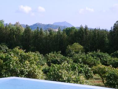 Aussicht auf die Landschaft