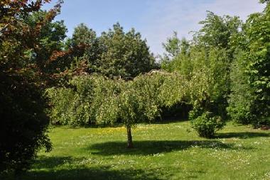 unverbauter Rasen und Gartenbereich am Deich