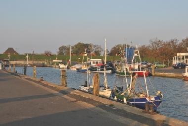 Fichereihafen Friedrichskoog