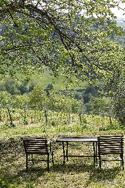 Ferienhaus in San Pancrazio (Firenze) oder Ferienwohnung oder Ferienhaus
