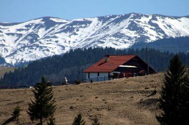 Chalet in Sirnea (Brasov) oder Ferienwohnung oder Ferienhaus