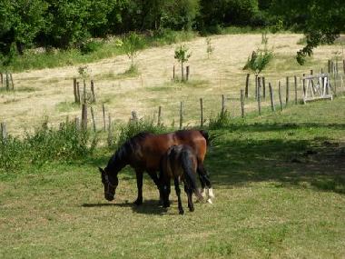 Ferienwohnung in Saint Ythaire (Sa�ne-et-Loire) oder Ferienwohnung oder Ferienhaus