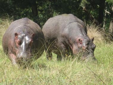 Ferienhaus in mossel bay (Western Cape) oder Ferienwohnung oder Ferienhaus