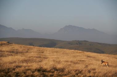 Ferienhaus in mossel bay (Western Cape) oder Ferienwohnung oder Ferienhaus