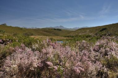 Ferienhaus in mossel bay (Western Cape) oder Ferienwohnung oder Ferienhaus