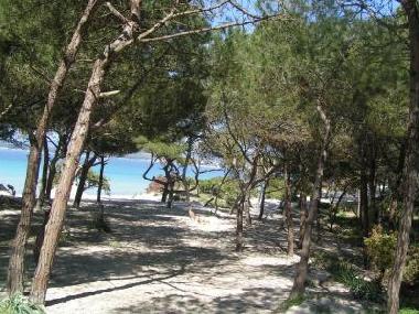 Pension in Alghero (Sassari) oder Ferienwohnung oder Ferienhaus