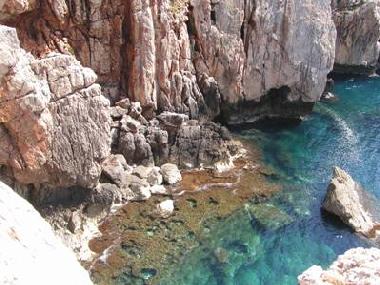 Pension in Alghero (Sassari) oder Ferienwohnung oder Ferienhaus