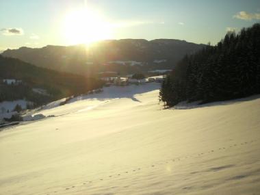 Ferienwohnung in 8820 (stliche Obersteiermark) oder Ferienwohnung oder Ferienhaus