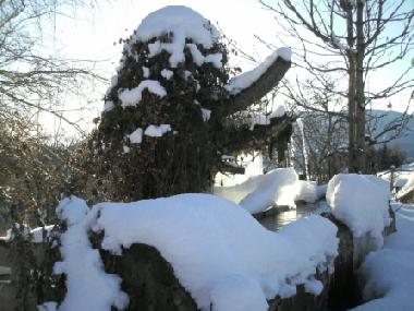 Ferienwohnung in 8820 (stliche Obersteiermark) oder Ferienwohnung oder Ferienhaus