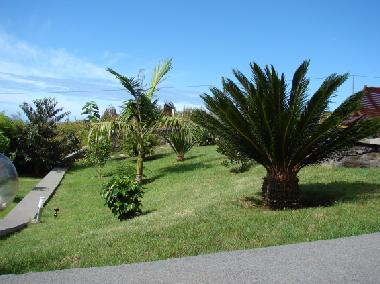Ferienhaus in Prazeres (Madeira) oder Ferienwohnung oder Ferienhaus