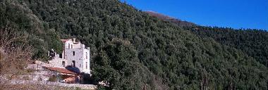 Borgo Le Caselle vor Steineichenwald