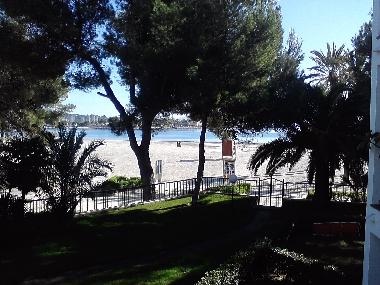 Ferienwohnung in Pto.Alcudia (Mallorca) oder Ferienwohnung oder Ferienhaus