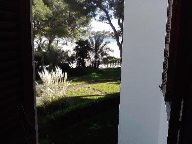 Ferienwohnung in Pto.Alcudia (Mallorca) oder Ferienwohnung oder Ferienhaus