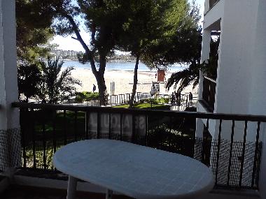 Ferienwohnung in Pto.Alcudia (Mallorca) oder Ferienwohnung oder Ferienhaus