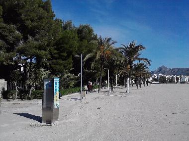 Ferienwohnung in Pto.Alcudia (Mallorca) oder Ferienwohnung oder Ferienhaus