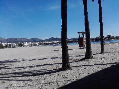 Ferienwohnung in Pto.Alcudia (Mallorca) oder Ferienwohnung oder Ferienhaus