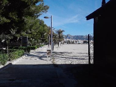 Ferienwohnung in Pto.Alcudia (Mallorca) oder Ferienwohnung oder Ferienhaus