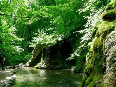 Ferienwohnung in Bad Urach (Schw�bische Alb) oder Ferienwohnung oder Ferienhaus