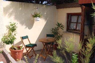 Terrasse Kleiner Strandfloh