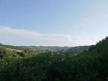 Ausblick
