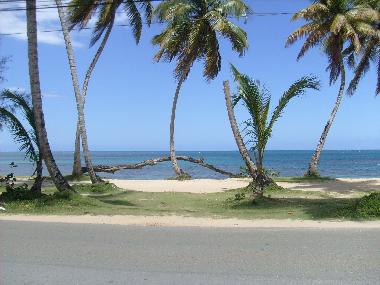 Ferienwohnung in Las Terrenas (Samana) oder Ferienwohnung oder Ferienhaus