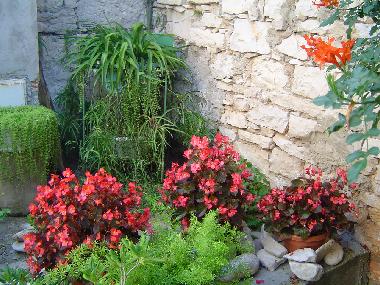 Villa in Lumbarda (Dubrovacko-Neretvanska) oder Ferienwohnung oder Ferienhaus