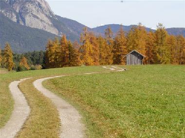 Ferienwohnung in Wildermieming (Innsbruck) oder Ferienwohnung oder Ferienhaus