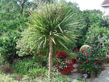 Villa in Lumbarda (Dubrovacko-Neretvanska) oder Ferienwohnung oder Ferienhaus