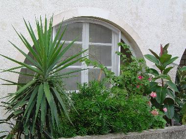 Villa in Lumbarda (Dubrovacko-Neretvanska) oder Ferienwohnung oder Ferienhaus