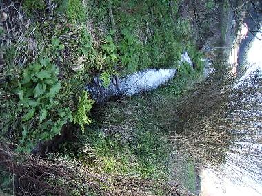 Ferienwohnung in Bueu (Pontevedra) oder Ferienwohnung oder Ferienhaus