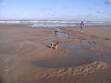 Chalet in Bredene (Flandern) oder Ferienwohnung oder Ferienhaus