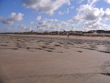 Chalet in Bredene (Flandern) oder Ferienwohnung oder Ferienhaus