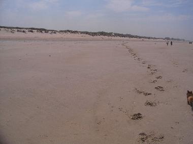 Ferienhaus in Bredene (Flandern) oder Ferienwohnung oder Ferienhaus