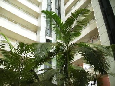 Ferienwohnung in Herzliya  (Tel Aviv) oder Ferienwohnung oder Ferienhaus