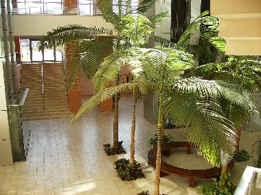 Ferienwohnung in Herzliya  (Tel Aviv) oder Ferienwohnung oder Ferienhaus