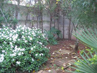 Ferienhaus in colonia de san pedro (Mallorca) oder Ferienwohnung oder Ferienhaus