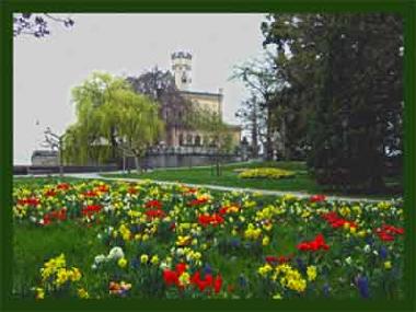 Schlo Montfort im Blten-Meer