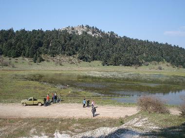 Ferienhaus in ANAVRA village (near thermopyles-hotgates) (Fthiotida) oder Ferienwohnung oder Ferienhaus