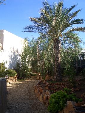 Ferienwohnung in Pujaire (Almera) oder Ferienwohnung oder Ferienhaus