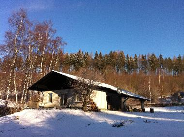 Die Waldfee im Schnee