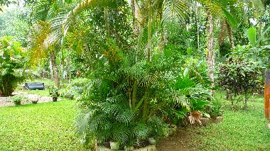 Ferienhaus in Ahangama  (Galle) oder Ferienwohnung oder Ferienhaus