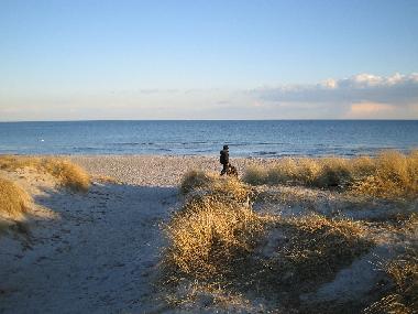 Ferienhaus in ishoej (Kobenhavn) oder Ferienwohnung oder Ferienhaus