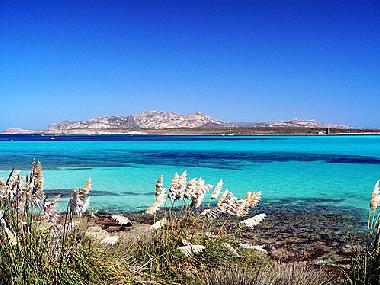 Ferienwohnung in STINTINO  (Sassari) oder Ferienwohnung oder Ferienhaus