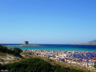 Ferienwohnung in STINTINO  (Sassari) oder Ferienwohnung oder Ferienhaus