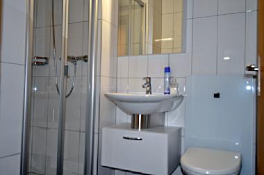 Ferienwohnung in Fiesch (Goms) oder Ferienwohnung oder Ferienhaus