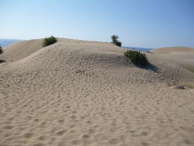 Patara Strand (h�her gelegene D�nen)