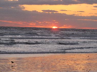 Ferienhaus in New Smyrna Beach (Florida) oder Ferienwohnung oder Ferienhaus