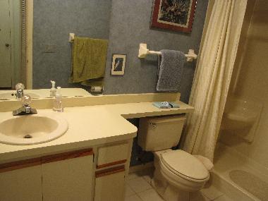 Ferienhaus in New Smyrna Beach (Florida) oder Ferienwohnung oder Ferienhaus