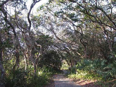 Ferienhaus in New Smyrna Beach (Florida) oder Ferienwohnung oder Ferienhaus